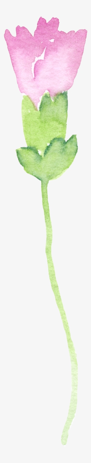 Painting Bouquet Transparent Decorative