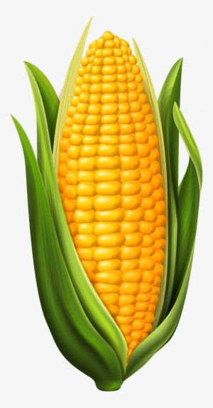 Corn On The Cob Clipart