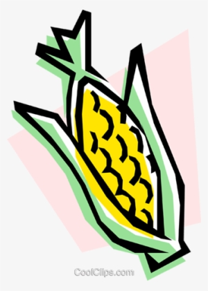 Corn On The Cob Royalty Free Vector Clip Art Illustration