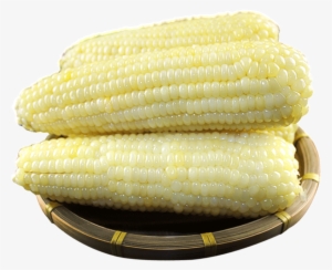 [10 Get 3] Lu Yin Fresh Sweet Glutinous Corn Sticky - Maize