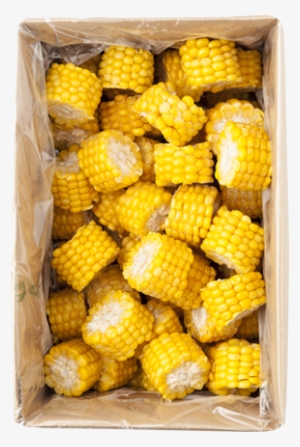 Corn Cobs Cut - Corn On The Cob