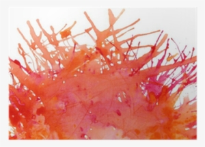Watercolor Painting