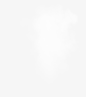 Faplus Store - Steam/hoodie/tank