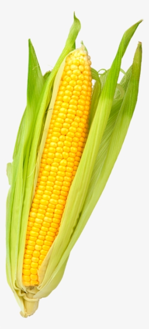 Menu Farmmenu Farm - Menu