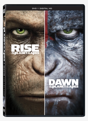 Dvd - Rise And Dawn Of The Planet