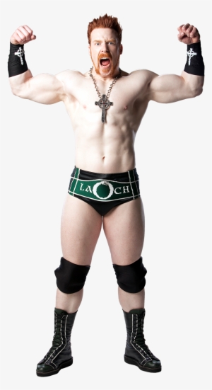 Sheamus Studio Photo2 - Wwe Sheamus Deviantart Full Png