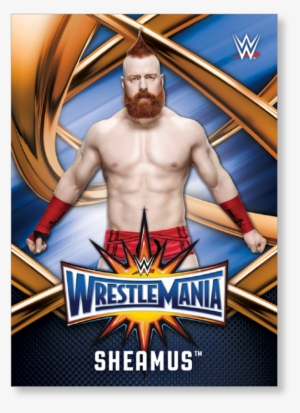 Close Zoom - Official Wwe The Shows Hard Back Case