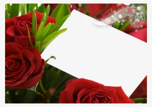 Flower Frame Png, Body Organs, Love Frames, Like Chocolate, - Happy Wednesday Have A Nice Day