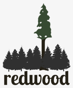 Redwood Tree Clip Art