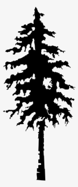 We Are Based In North Lake Tahoe, California And Can - Redwood Png