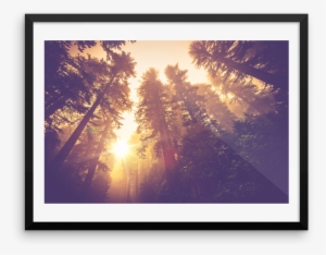 Denjy Waste All My Love