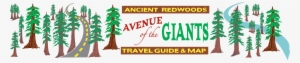 Avenue Of The Giants - Map