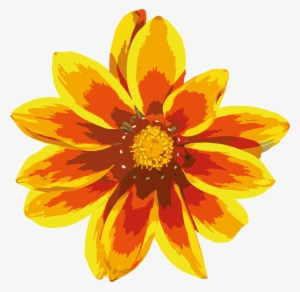Contact Orange Flower Png
