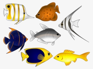 Fish Vector Art Clipart - Coral Reef Fish