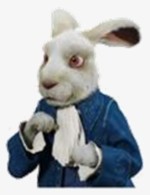White Rabbit - Alice In Wonderland Rabbit Png