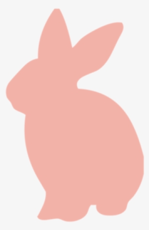 White Rabbit Is A Casual And Fun Neighborhood Bar With - Domestic Rabbit