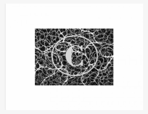 Smoke Swirls, Art Acetate Background - Coco Ep - Alan E - Download