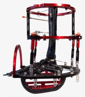 Dne Seal Circular Frame 23 - Bicycle Pedal