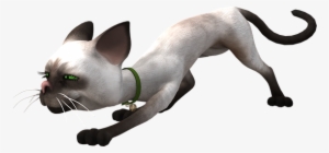 Toon, Cat, Toon Cat, Funny, Sneak, Hell, Green Eyes - Cat Png Attack