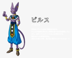 Beerus - Dragon Ball Z God Of Destruction