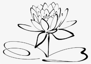 Mb Image/png - Lotus Flowers Clipart Black And White