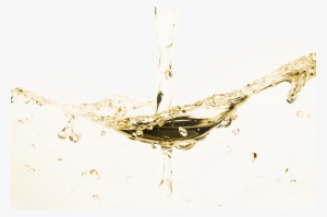 Oil Splash Banner - Marula