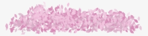 Of Sakura Mar By For Using Muro - Pile Of Cherry Blossom Petals