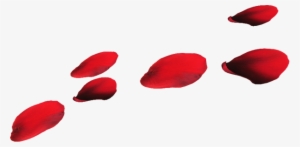 Red Flower Petals - Petal