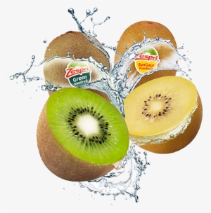 Zespri Green And Sun Gold Kiwi - I-tecosky 1080p Full Hd Wifi Action Camera Sport Camera