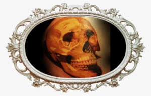 Tattoo & Piercing Faqs - Frederick