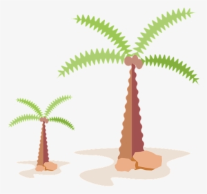 Palm, Tree, Tropical, Summer, Nature, Travel, Green - Palm Trees