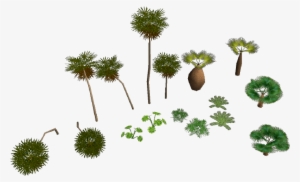 Tropical Trees Pajaj - Rct3 Trees