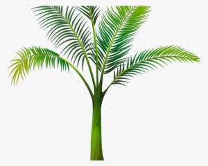 Date Palm Clipart Tropical Tree - Пальма На Прозрачном Фоне