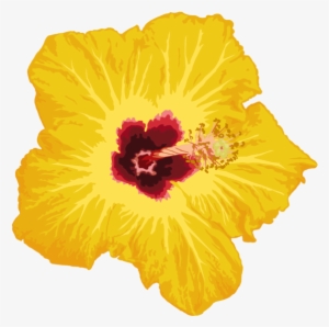 Flower Png By Chingiz Han - Flower