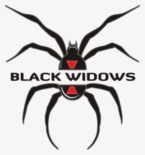Nh Black Widows Travel Team - Black Widow Softball Logo