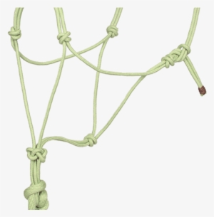 Bamboo Rope Halter W/lead - Lead