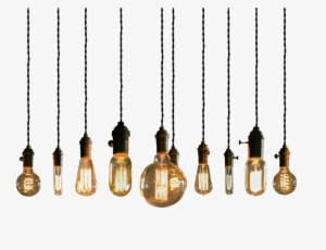 Report Abuse - Light Bulb Transparent