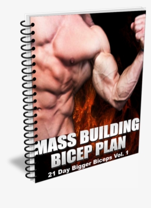 3 Secrets You Must Know About To Build Bigger Biceps - Pegasus World Cup