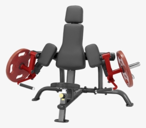 Image - Steelflex Plte Leverage Tricep Extension Machine
