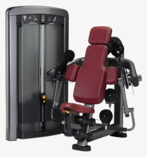 Biceps Curl - Life Fitness Insignia Biceps