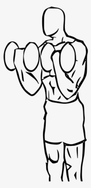 Biceps Curl Squat With Dumbbell - Squat