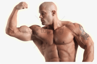 Strong Man Bicep - Amino Acids Benefits
