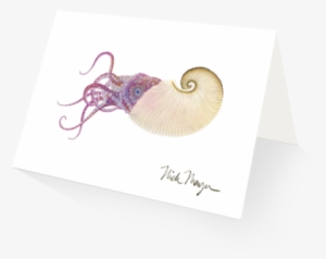 Paper Nautilus - Sea Life Wall Calendar