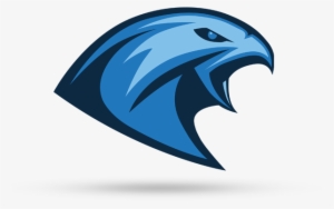 Tychy Falcons