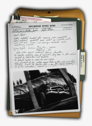 Detective Case File - La Noire Case File