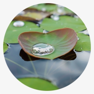 Initiatives For - Water