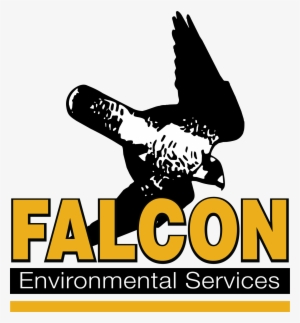 Falcon Environmental Services