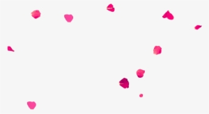 Slide Beauty 2 - Красота Пнг