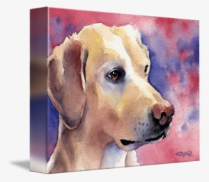 Labrador Retriever 2 By David Rogers - Labrador Retriever