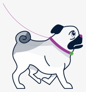 Dog Sitter, Dog Sitting, Dog Walking - Pug